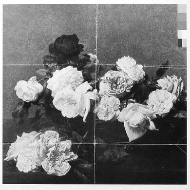 Untitled Untitled